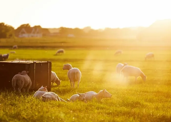 Landal Park Texel Vakantiepark